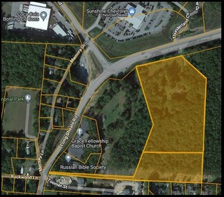 More details for 455 Long Shoals Rd, Arden, NC - Land for Sale