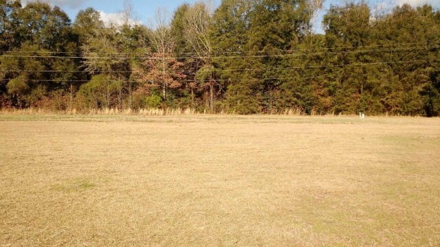 0 Butler St, Midway, GA for sale Building Photo- Image 1 of 1