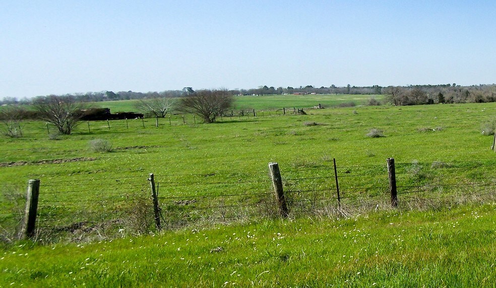 50ac FM 2821 & Rosenwall, Huntsville, TX for sale - Building Photo - Image 1 of 1