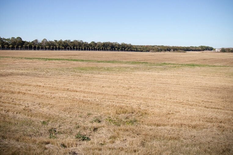 Perimeter Rd, Mobile, AL for sale Primary Photo- Image 1 of 1