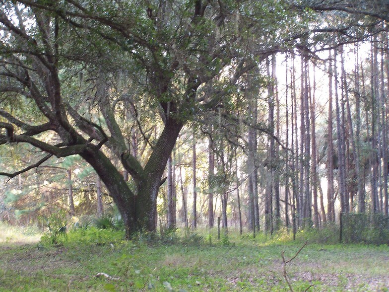 Powell Rd, Brooksville, FL for sale - Other - Image 2 of 8