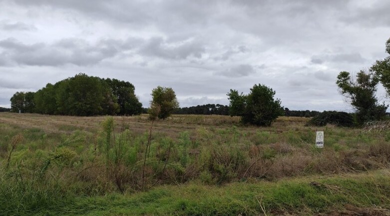 Land in Fuenterrebollo, Segovia for sale - Other - Image 2 of 3