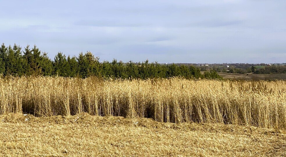 14 Acres County Highway F, Blue Mounds, WI 53517 14 Acres Residential