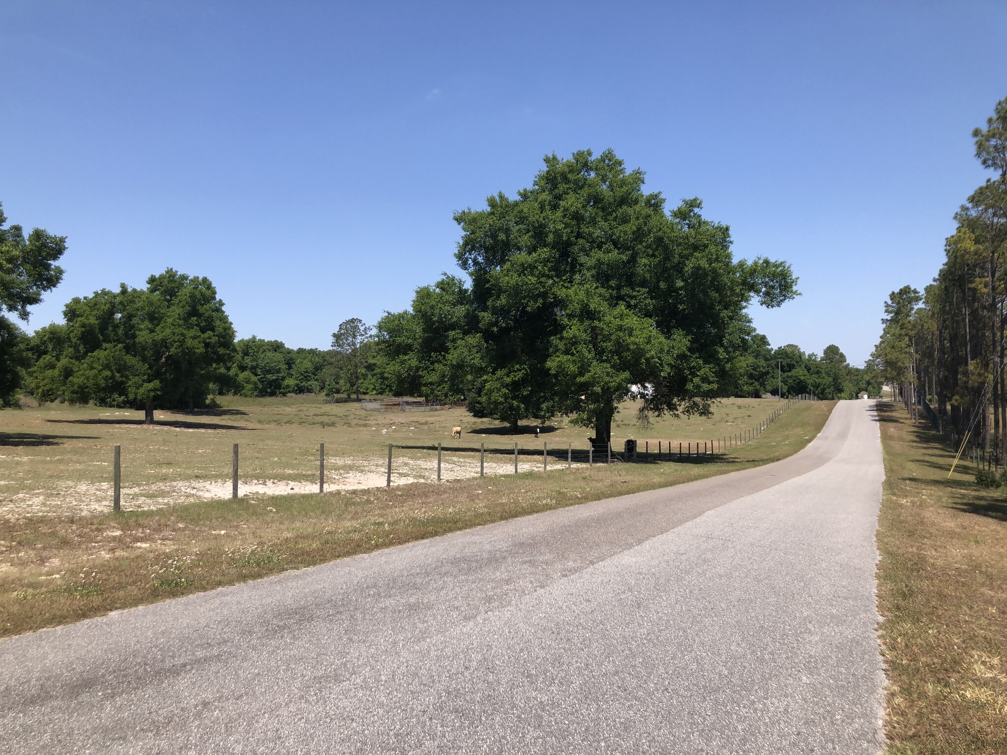 3405 W Ponkan Rd, Apopka, FL 32712 - 10 Acres Development Land | LoopNet