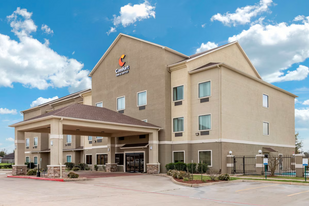 Comfort Inn & Suites Navasota - Motel