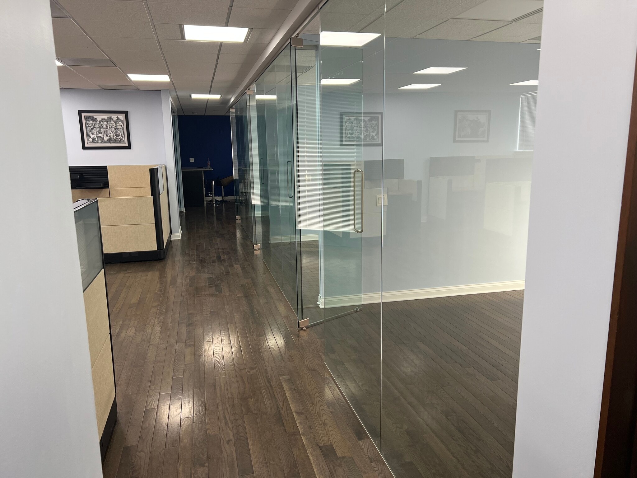 710 Higgins Rd, Park Ridge, IL for lease Interior Photo- Image 1 of 10