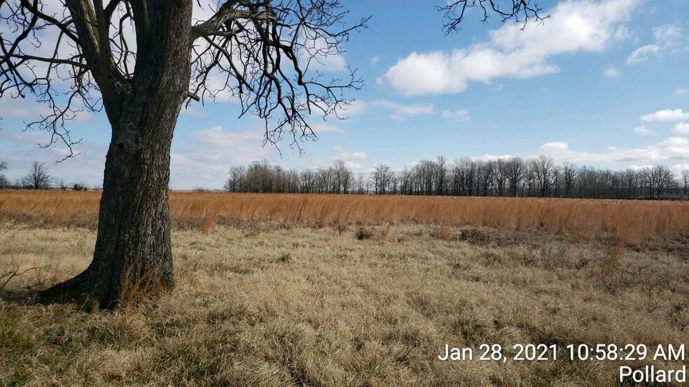 74 County Road 325, Pollard, AR for sale - Building Photo - Image 2 of 9