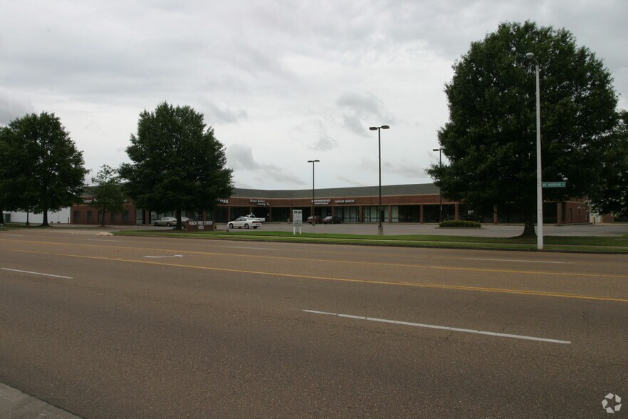 6135 Mount Moriah Road Ext, Memphis, TN 38115 Peach Tree Center