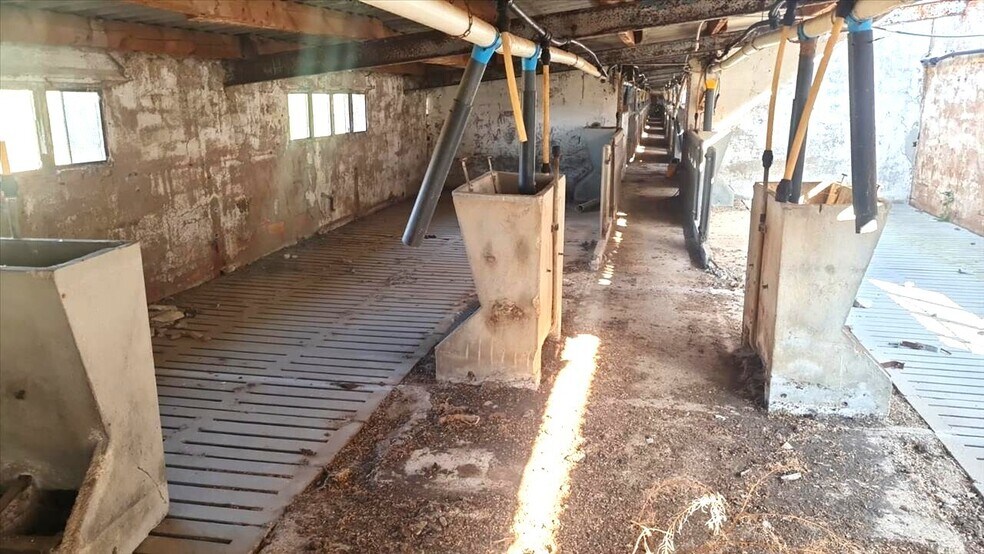 Industrial in Aniñón for sale - Building Photo - Image 3 of 12