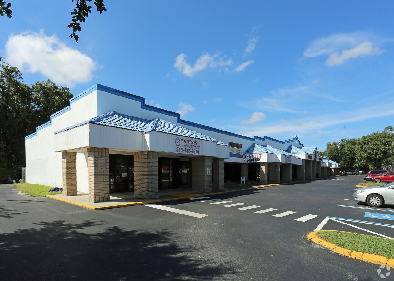 117 W Windhorst Rd, Brandon, FL 33510