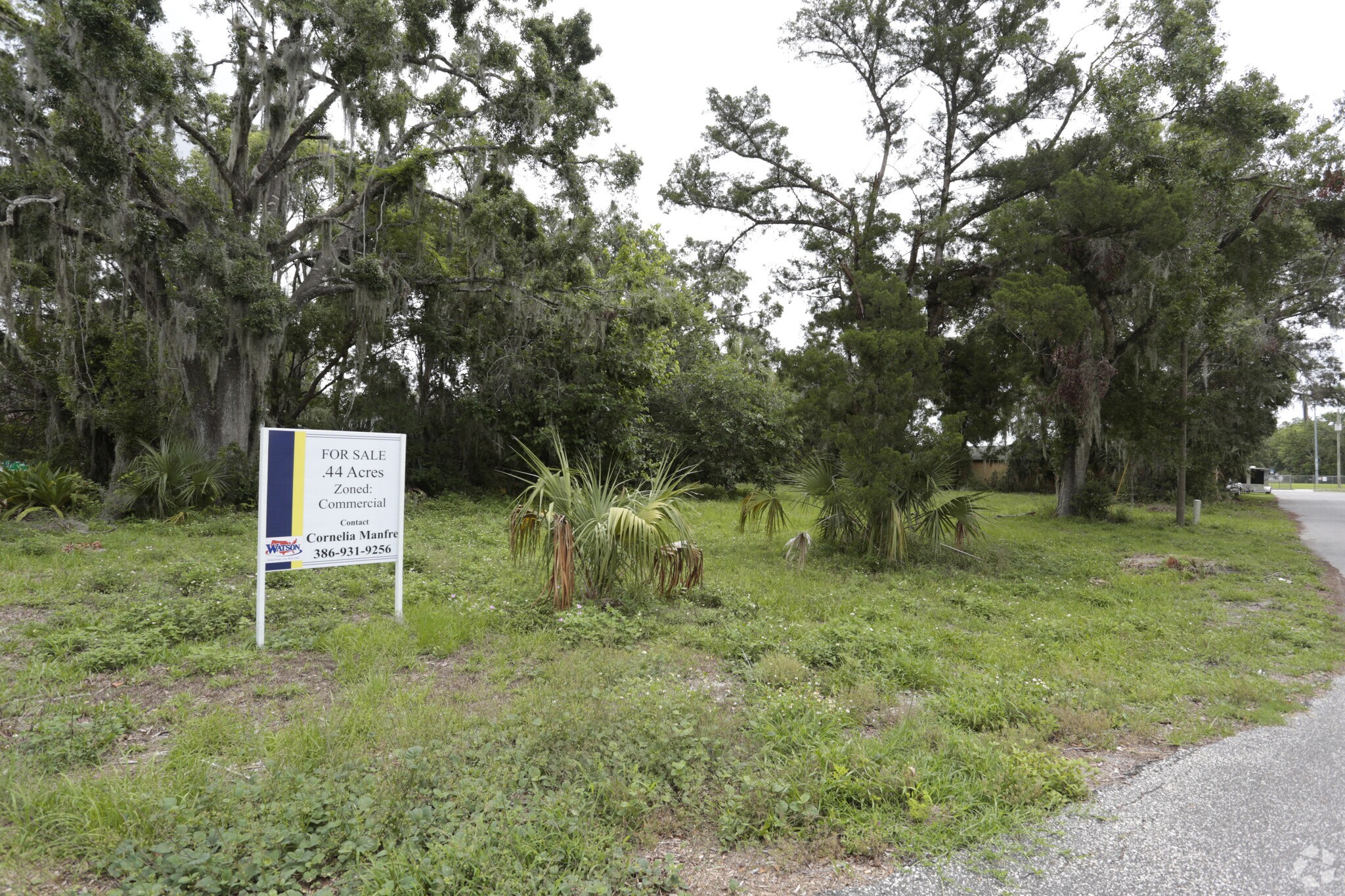 501 E Moody Blvd, Bunnell, FL for sale Primary Photo- Image 1 of 1