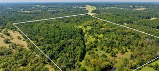 More details for TBD County Road 166, Tyler, TX - Land for Sale