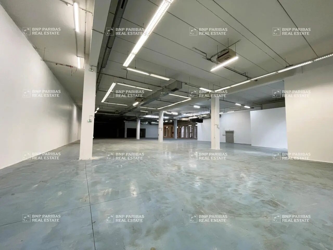 Flex in Ivry-sur-Seine for lease Interior Photo- Image 1 of 5