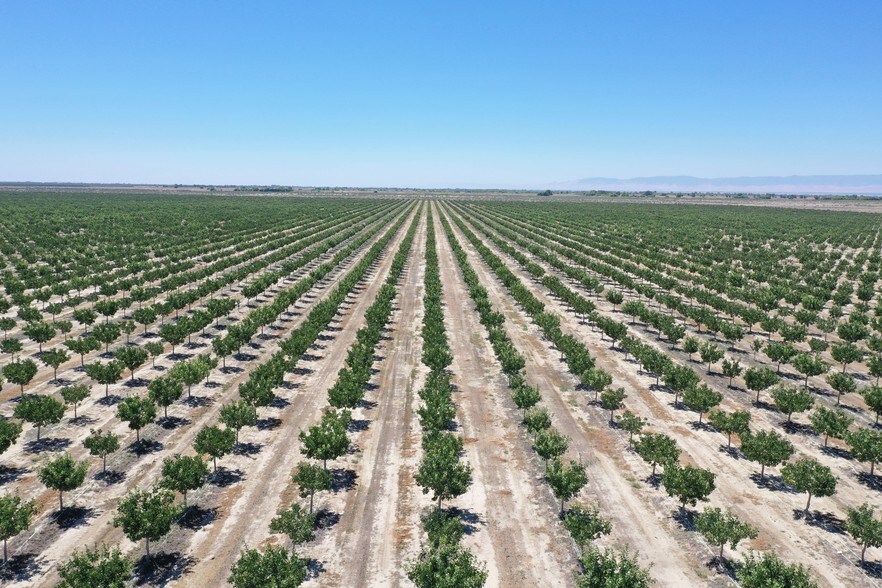 26253 W Whitesbridge Ave, Tranquillity, CA for sale - Primary Photo - Image 1 of 1