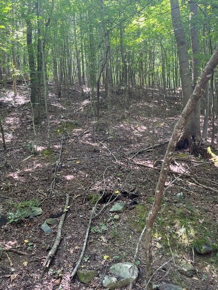 000 Old Goldmine Rd, Marshville, NC for sale - Primary Photo - Image 1 of 2