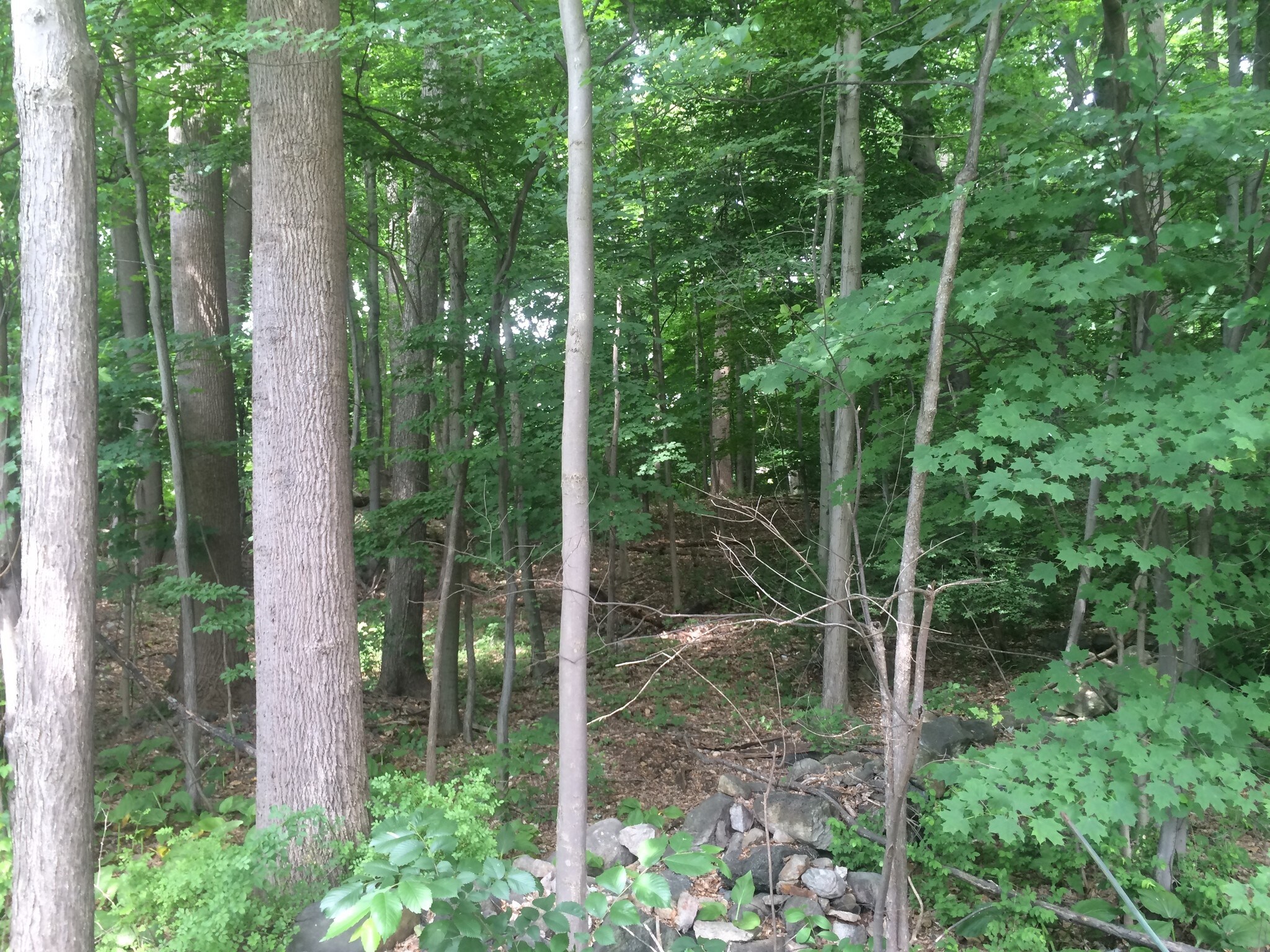 2010-2020 Main St, Peekskill, NY for sale Building Photo- Image 1 of 1