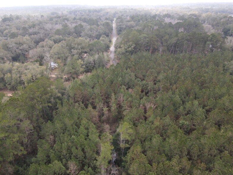 0 Baldwin St, Satsuma, AL for sale - Building Photo - Image 2 of 13