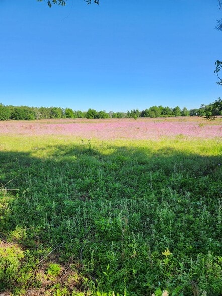 N/A County Road 222, Wildwood, FL for sale - Building Photo - Image 2 of 2