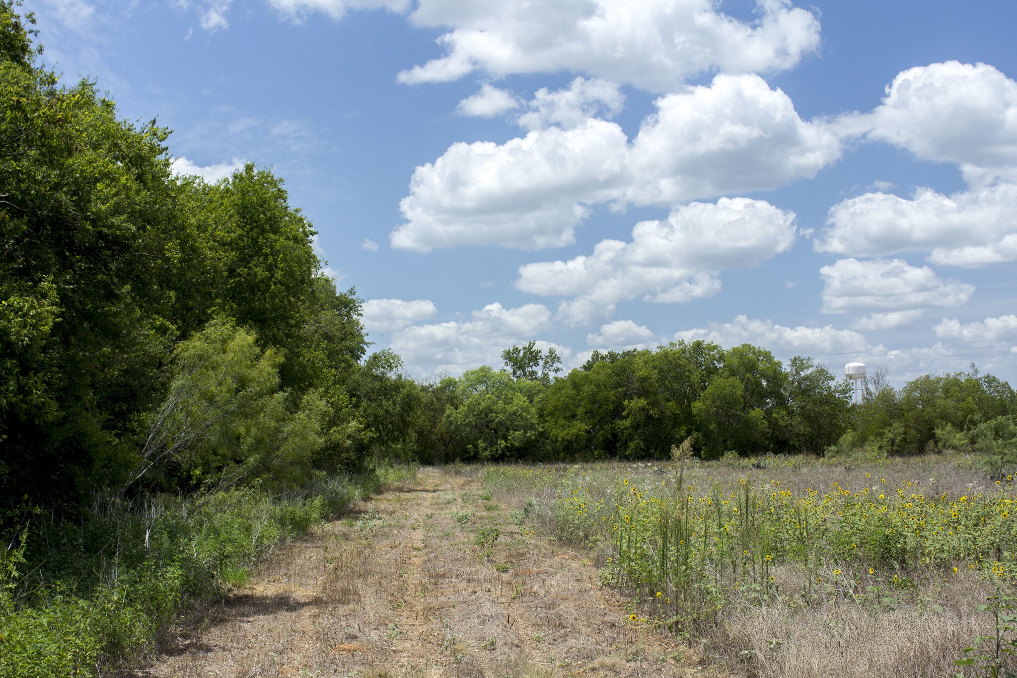 80 Acres, Pearsall, TX 78061
