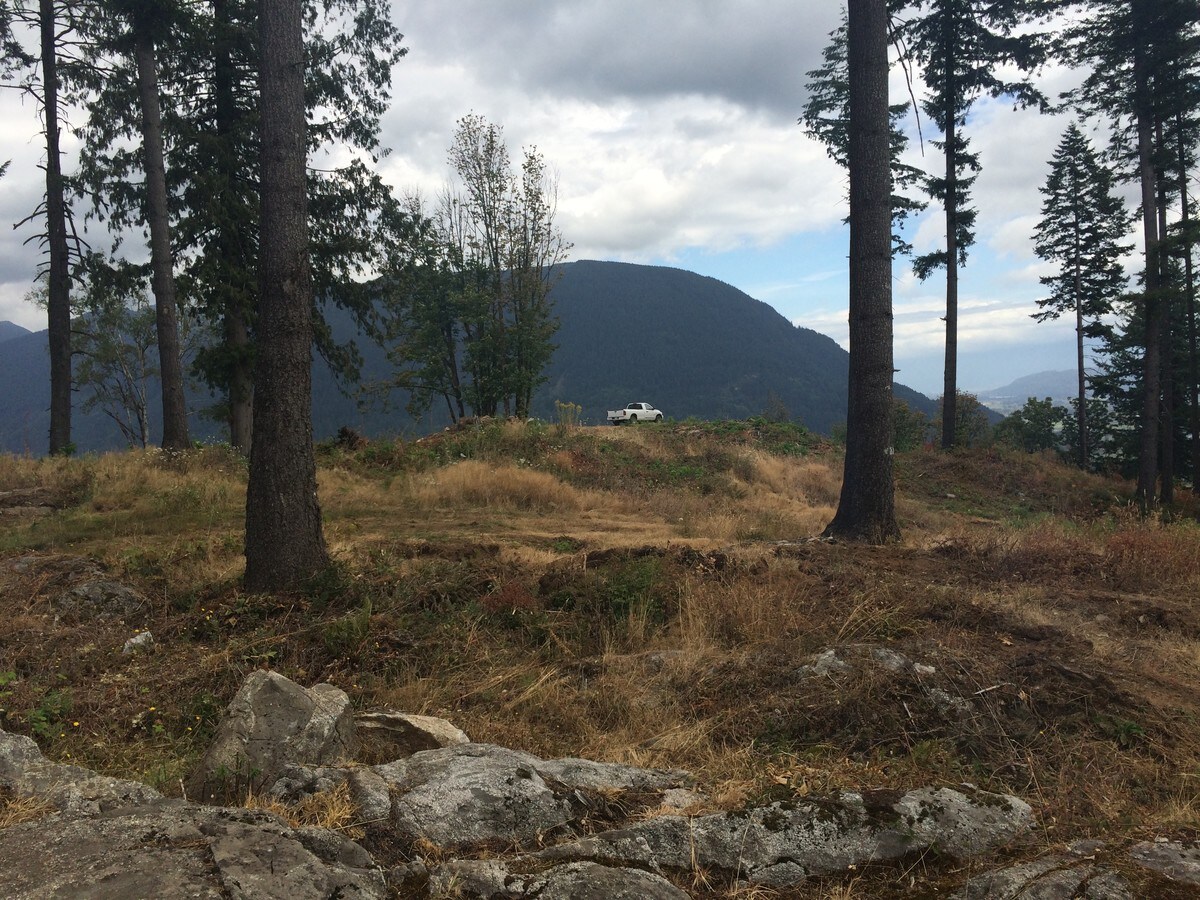 34663 Ferndale Ave, Mission, BC V2V 7C8