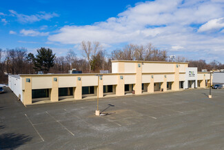 More details for 20 Wolf Rd, Albany, NY - Retail for Lease