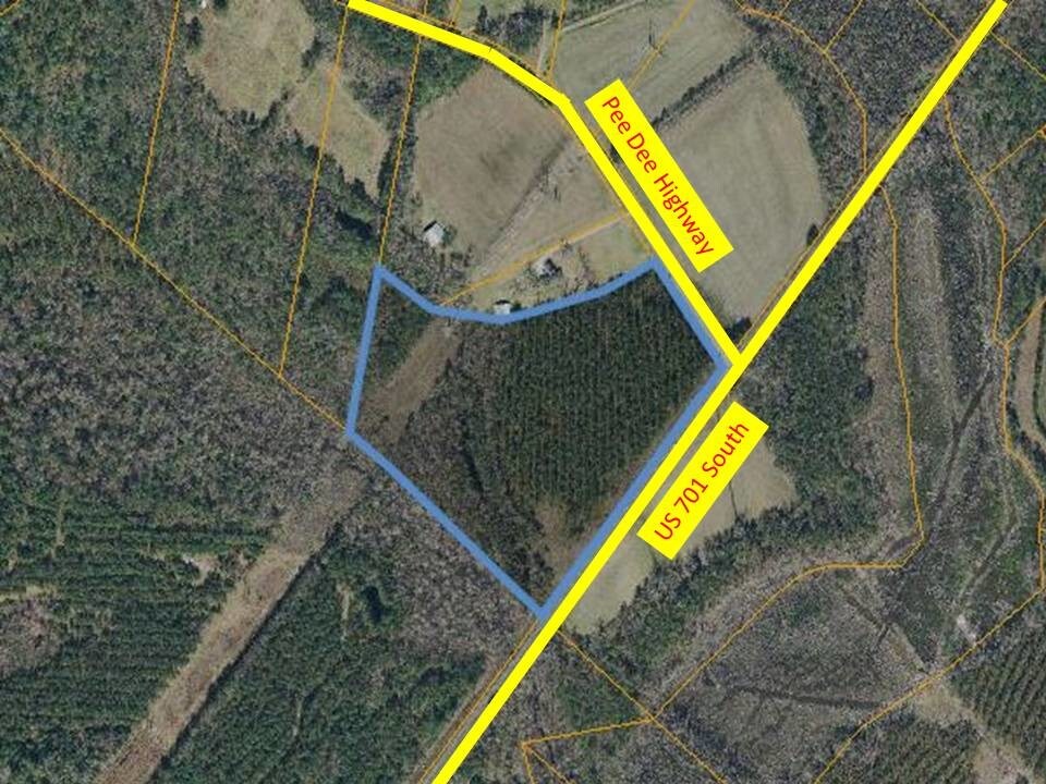Tbd Highway 701, Conway, SC for sale Aerial- Image 1 of 1