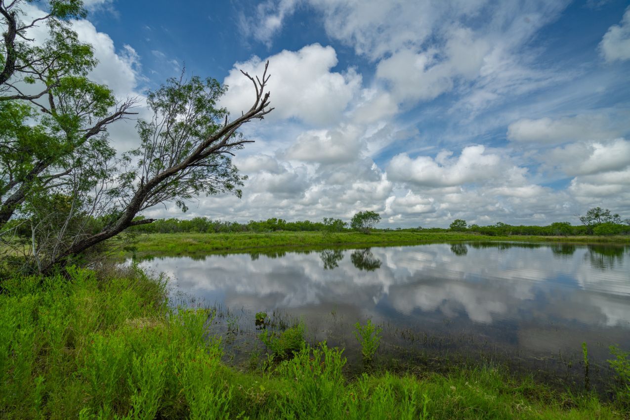 0 Countiss Road, Tilden, TX for sale Building Photo- Image 1 of 1