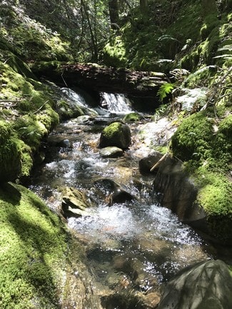 More details for 49690 Highway 101, Laytonville, CA - Land for Sale