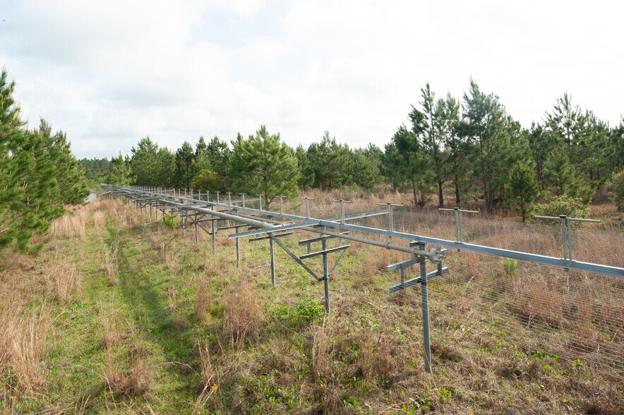 County Road 425 Near Ivy Durrence Road, Glennville, GA for sale - Building Photo - Image 2 of 2