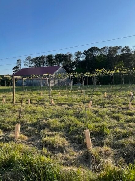 77 Little River Rd, Carrollton, GA for sale - Building Photo - Image 2 of 12