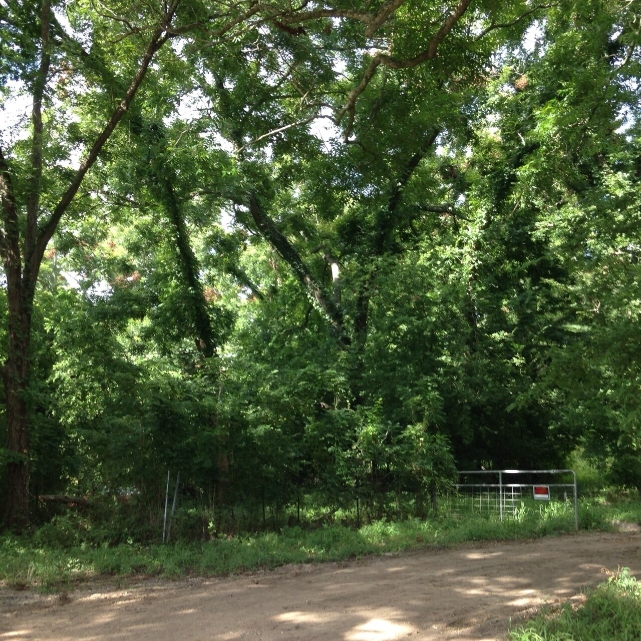 2830 Bowser Rd, Fulshear, TX for sale Building Photo- Image 1 of 1