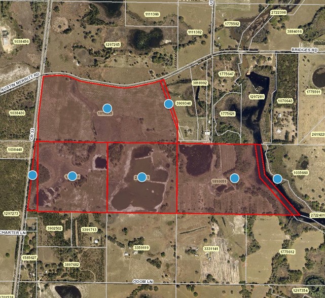 Bridges Rd, Groveland, FL for sale - Other - Image 1 of 1