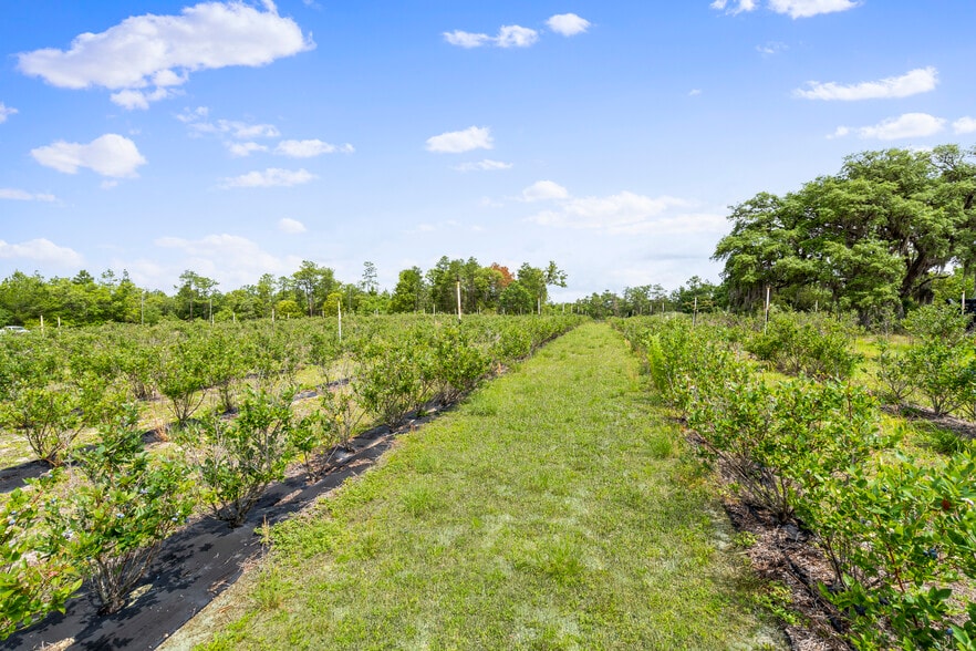 130 Strawberry ln, Pomona Park, FL for sale - Building Photo - Image 3 of 27