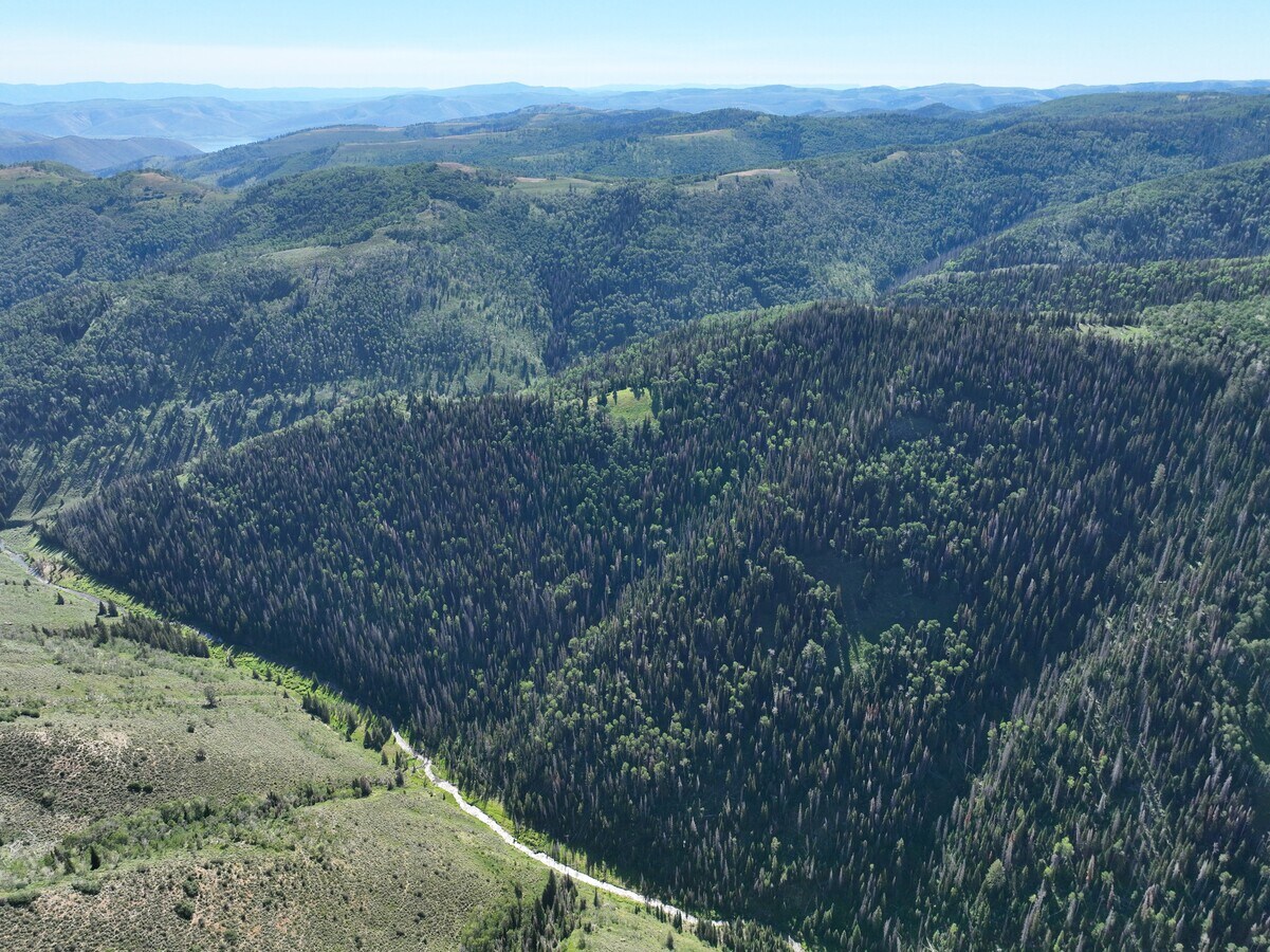 Skyline Drive, Fairview, UT 84629 Skyline Ranch