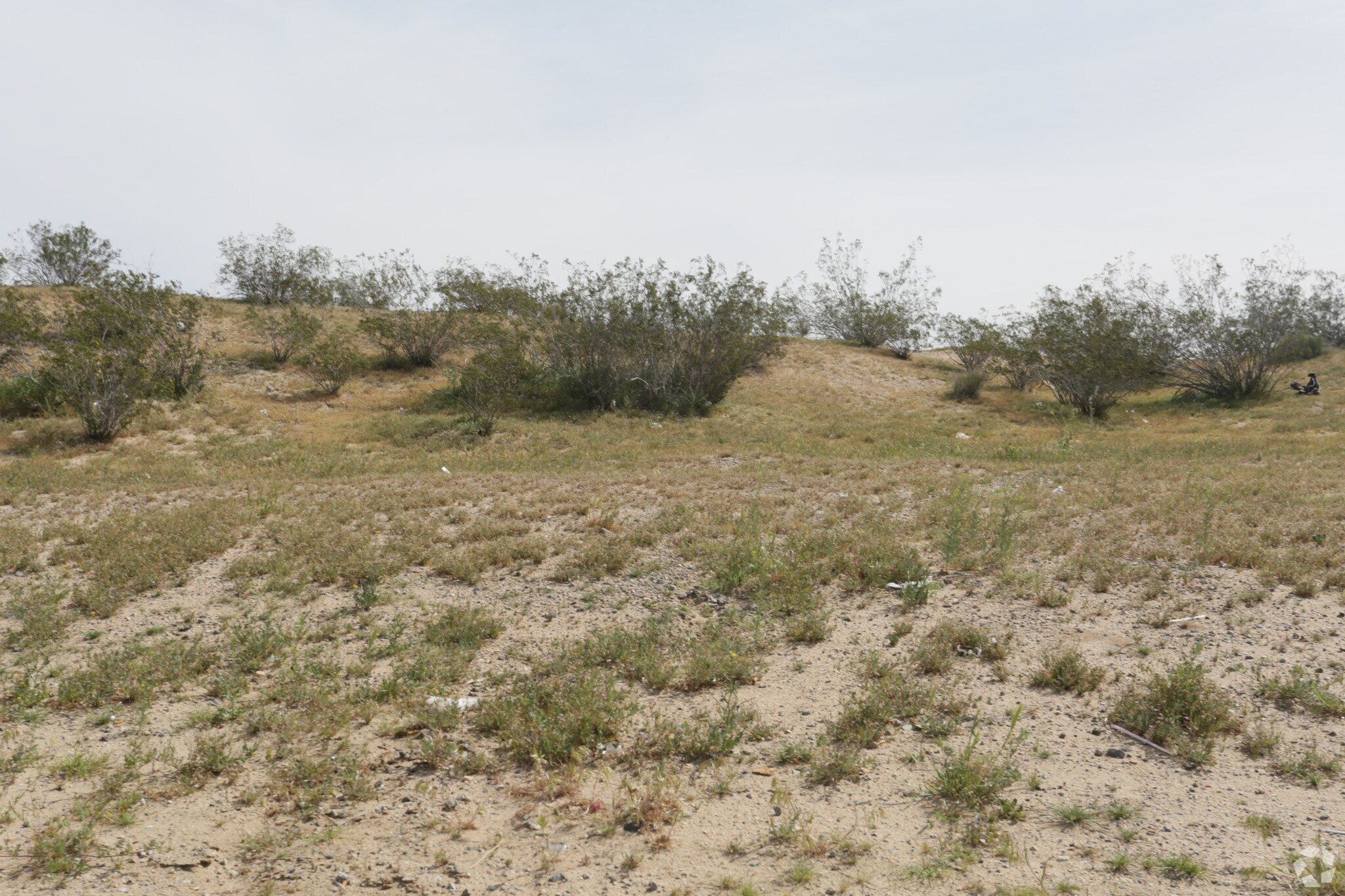 Hesperia Rd, Victorville, CA for sale Primary Photo- Image 1 of 1