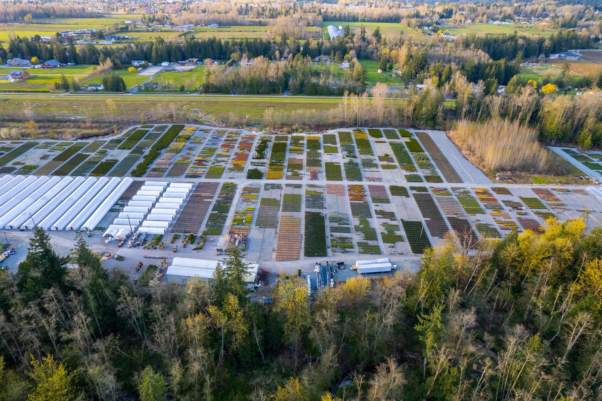 36663712 224 St, Langley, BC V2Z 2G7 Linnaea Nurseries