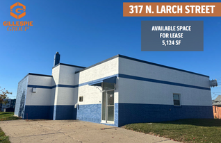 317 N Larch St, Lansing MI - Warehouse