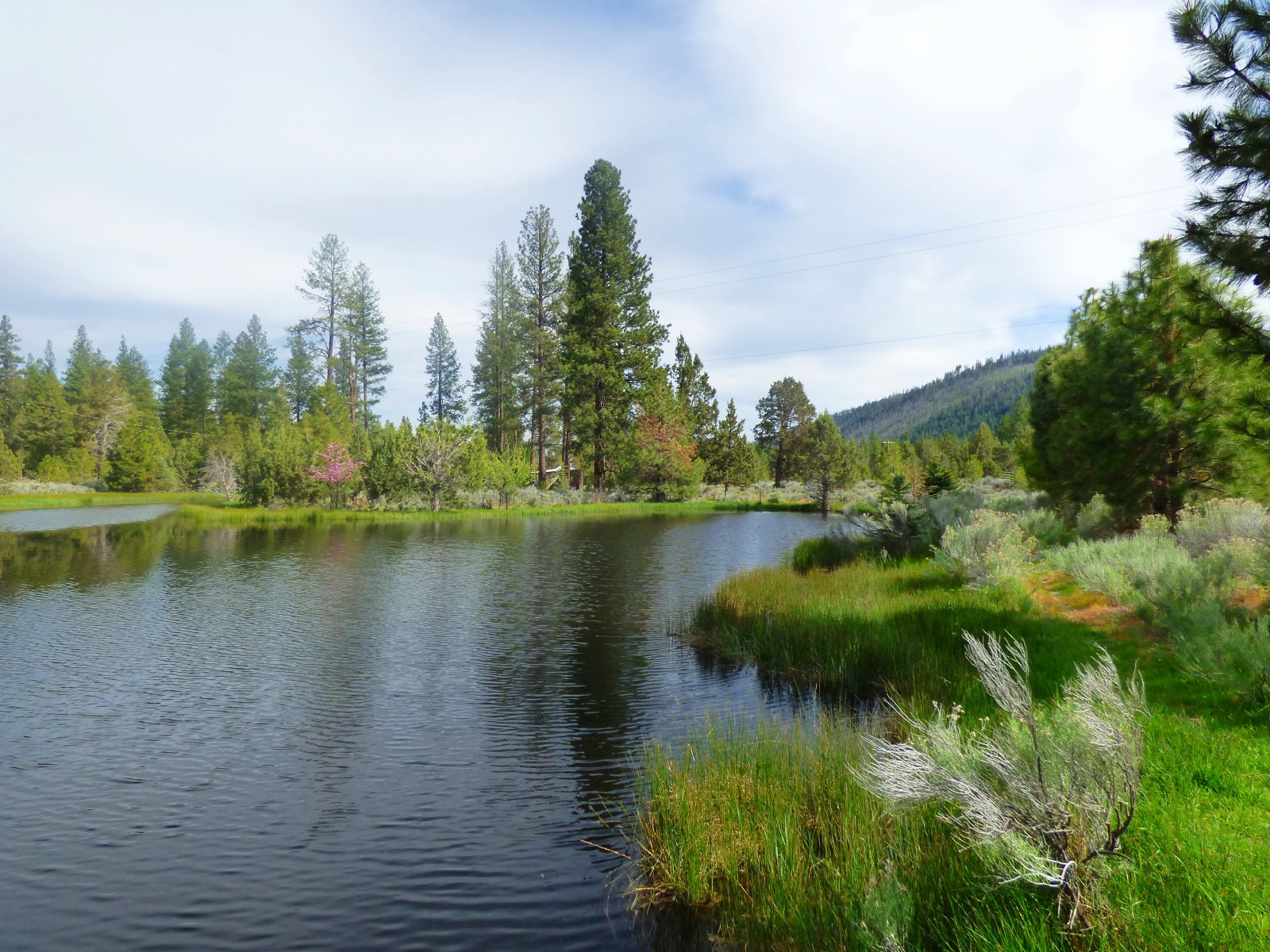 19031 Old State Hwy, Macdoel, CA for sale Building Photo- Image 1 of 1