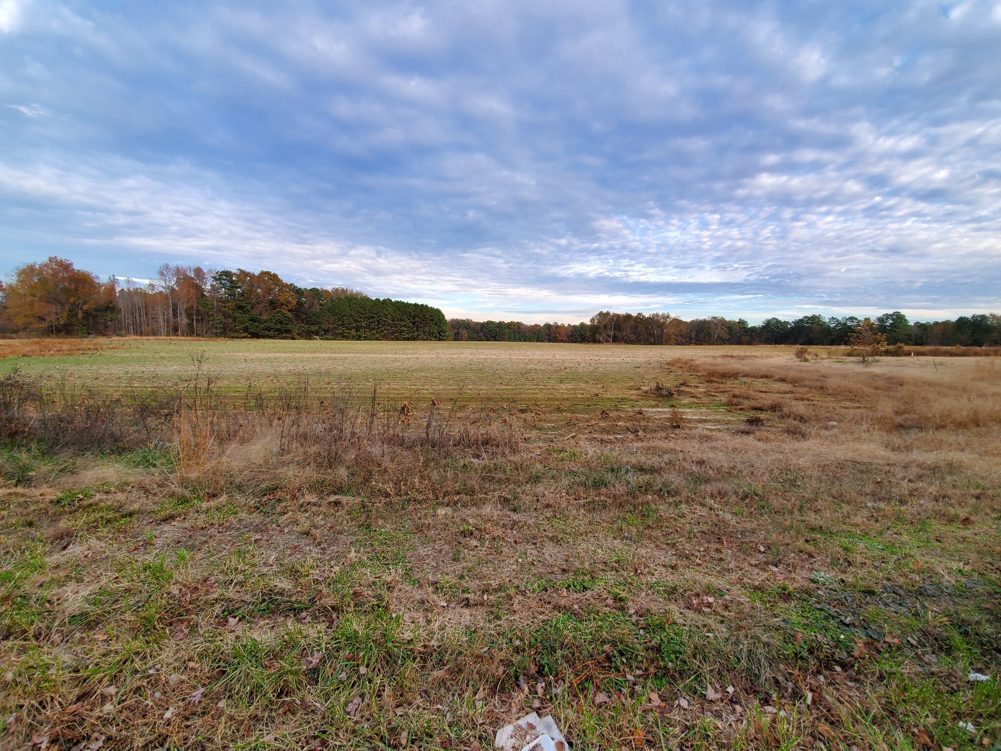 1600 Edgemont Rd, Wendell, NC for sale Primary Photo- Image 1 of 1