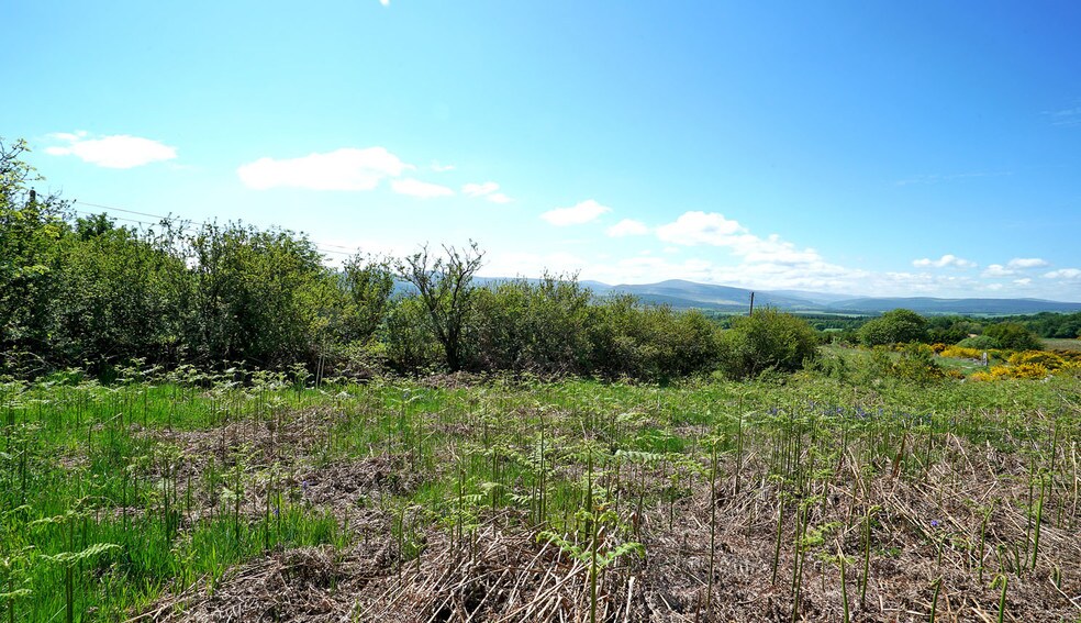 Plot Adjacent To Bucharn Farm, Banchory, AB31 6NQ
