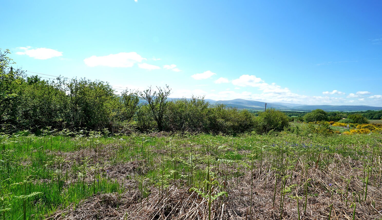 Plot Adjacent To Bucharn Farm, Banchory, AB31 6NQ