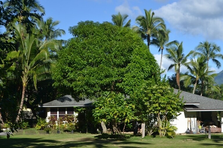 47-375-kamehameha-hwy-kaneohe-hi-96744-loopnet