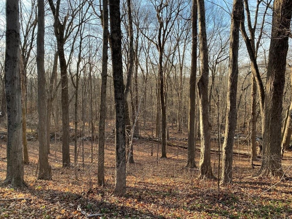 0 Cottage Place, Granite Springs, NY 10527 Land for Sale