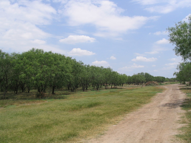 1200 S Bentsen Rd, McAllen, TX for sale - Building Photo - Image 1 of 1