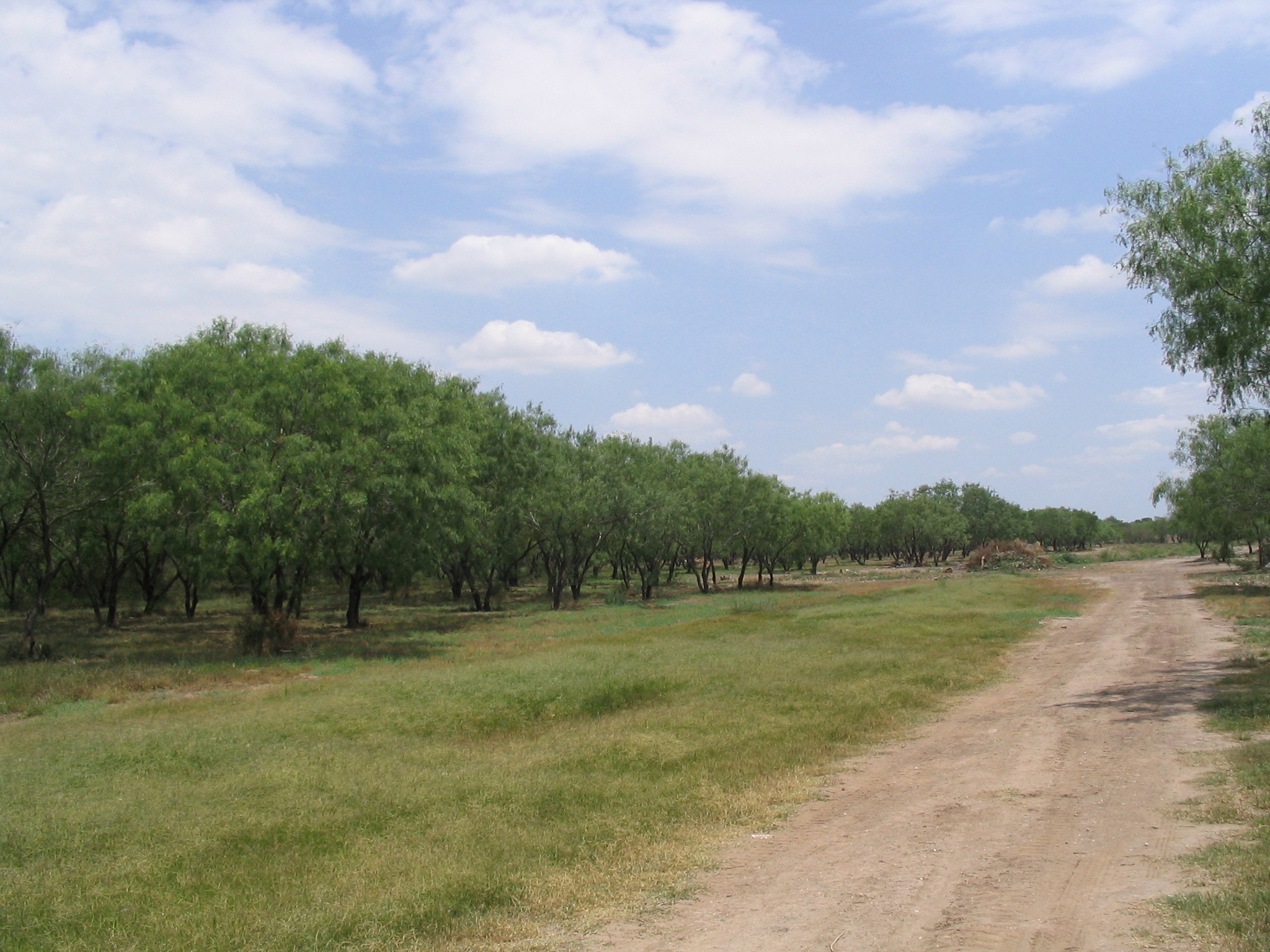 1200 S Bentsen Rd, McAllen, TX for sale Building Photo- Image 1 of 1