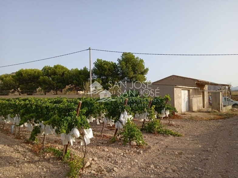 Land in Novelda for sale - Building Photo - Image 3 of 8