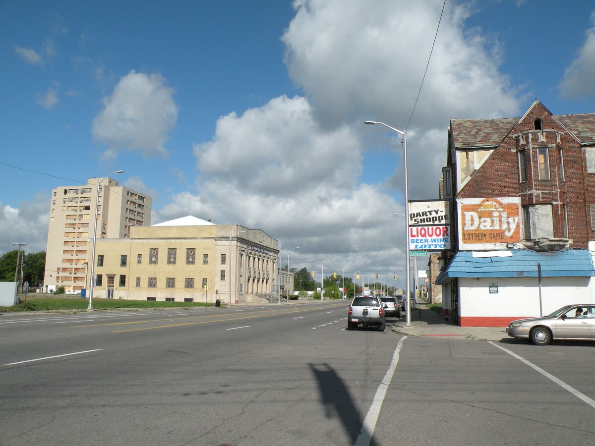 11320 Dexter Ave, Detroit, MI 48206