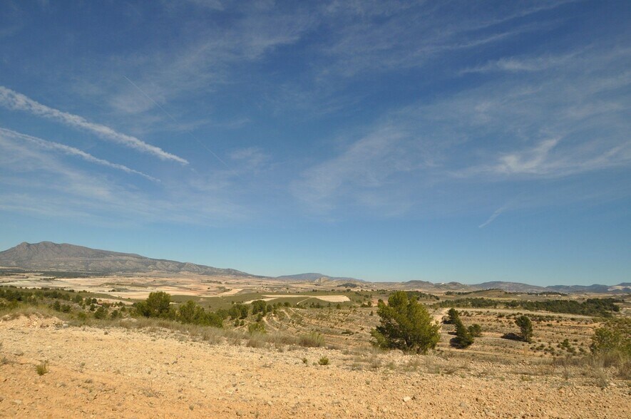 Land in Jumilla for sale - Building Photo - Image 1 of 23