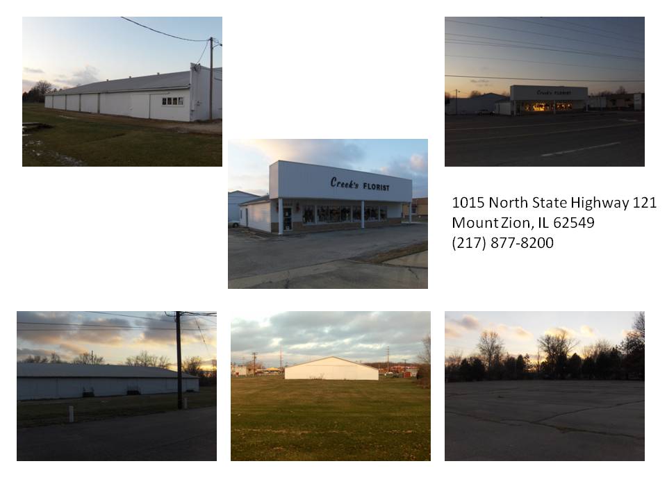 1015 N State Highway 121, Mount Zion, IL for sale Building Photo- Image 1 of 1