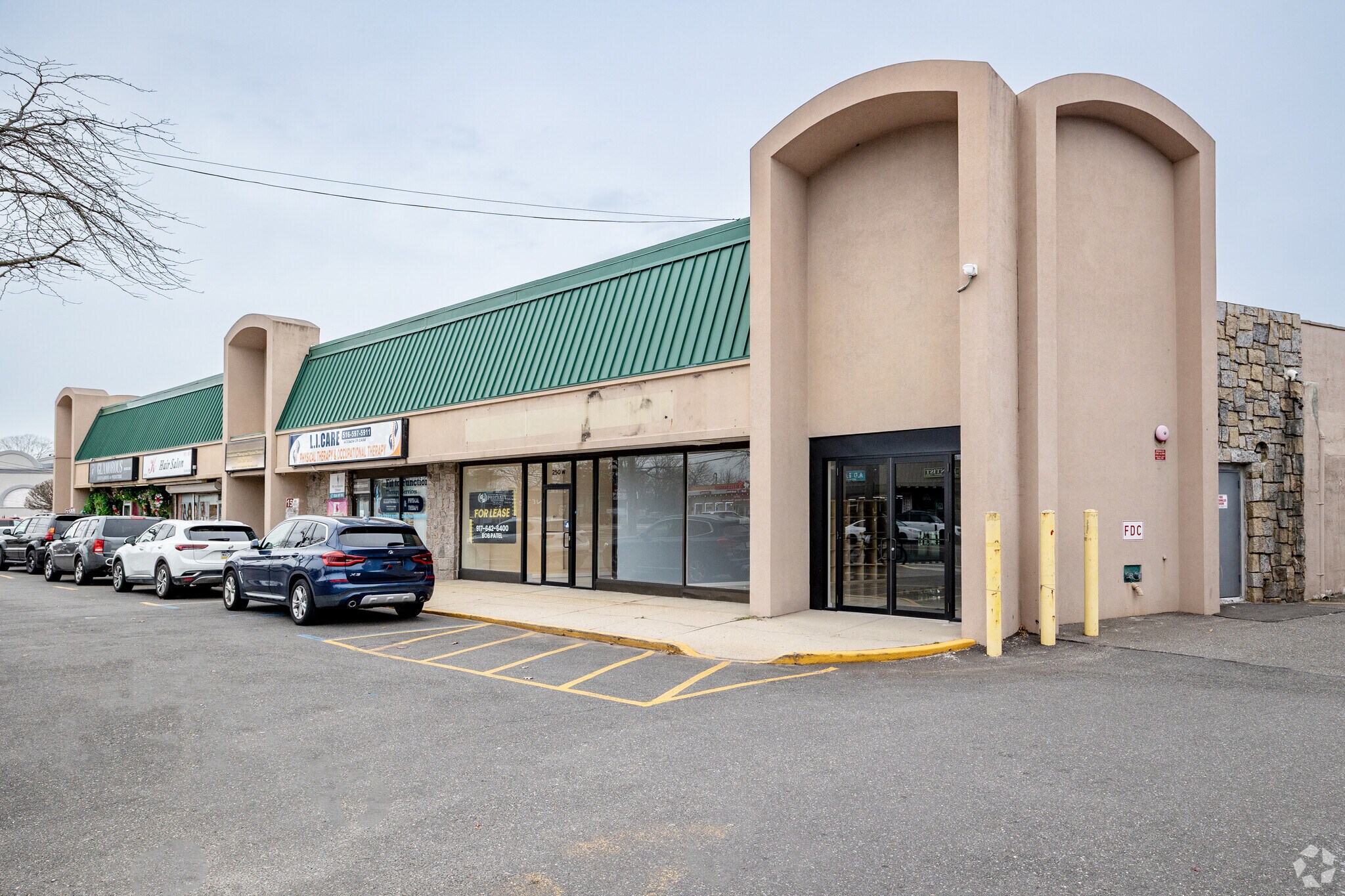 250-260 W Old Country Rd, Hicksville, NY for sale Primary Photo- Image 1 of 1